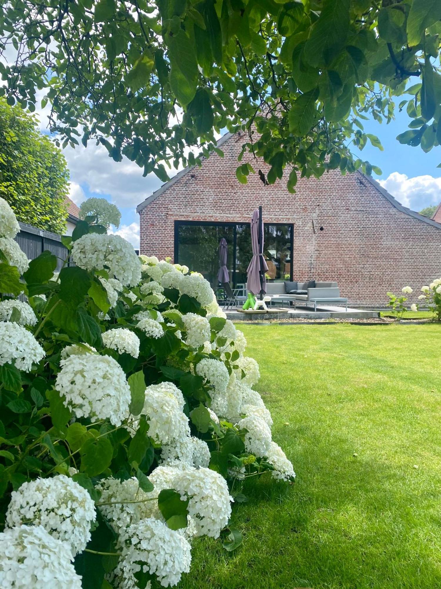 Hoeve De Kleinheide 디셀 외부 사진