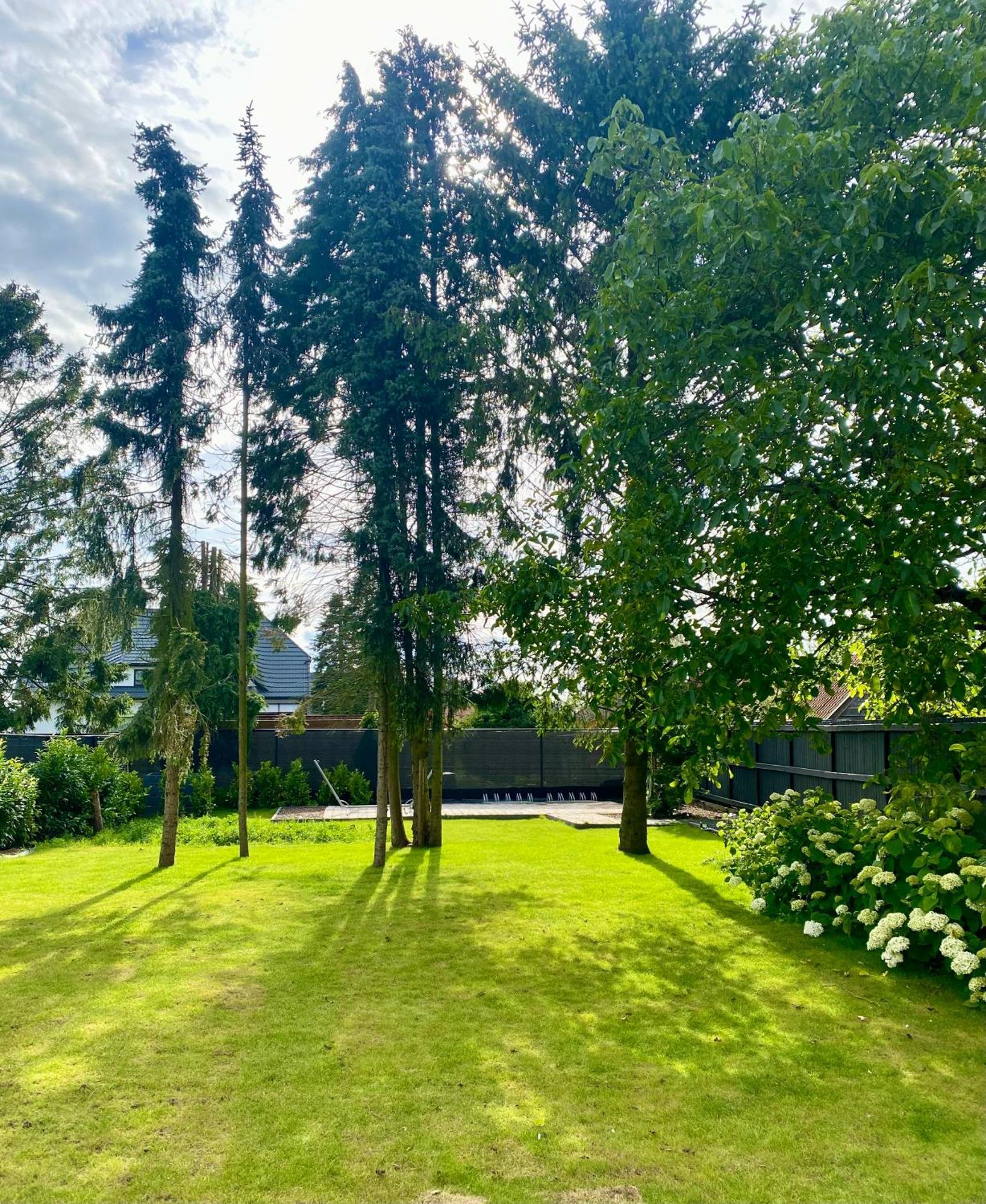 Hoeve De Kleinheide 디셀 외부 사진