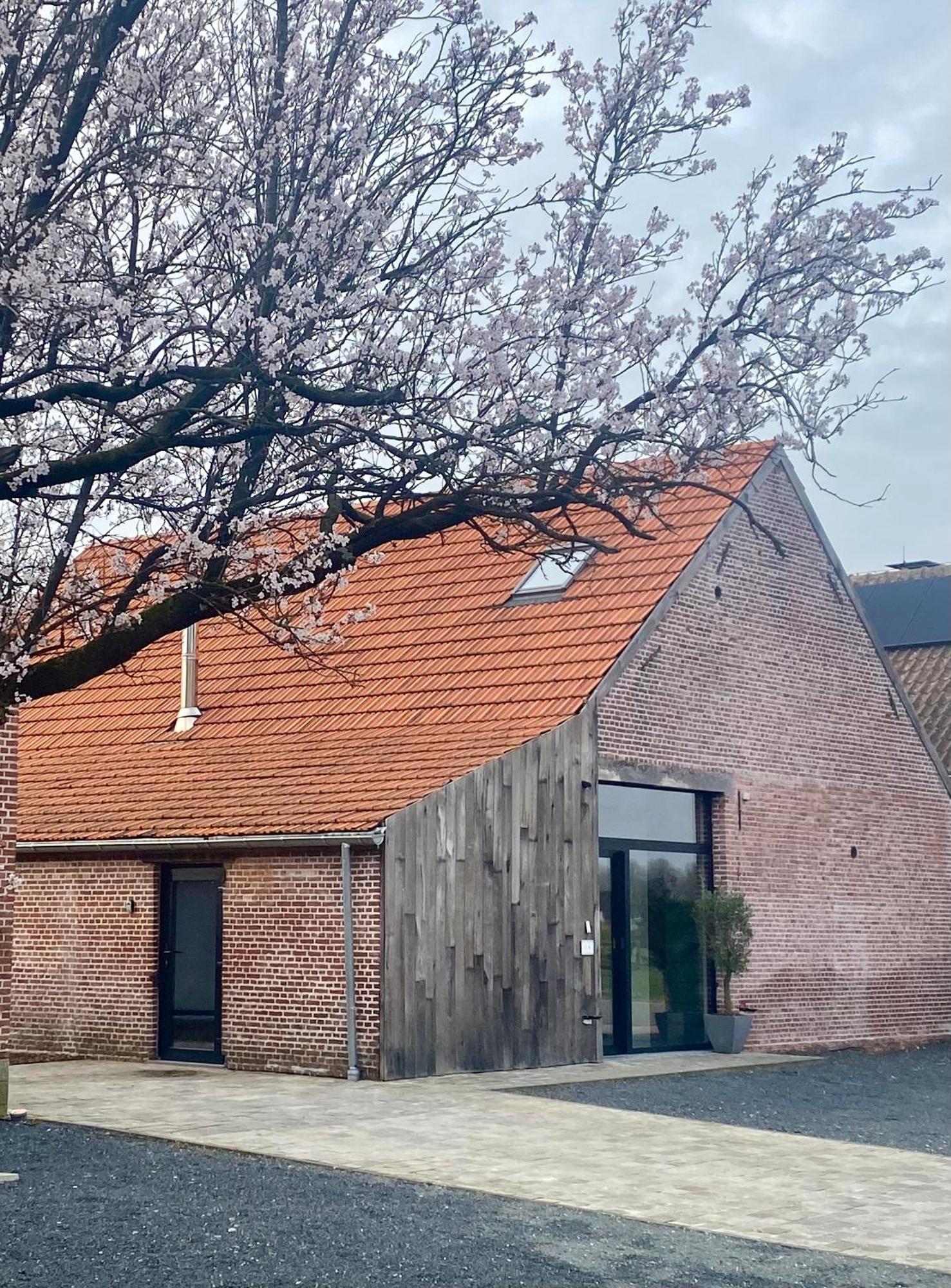 Hoeve De Kleinheide 디셀 외부 사진